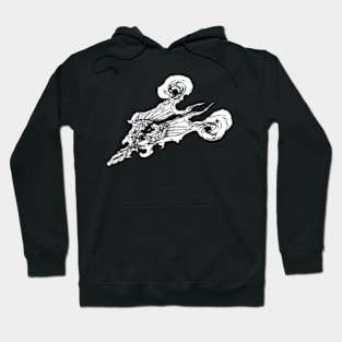 Wind dragon Hoodie